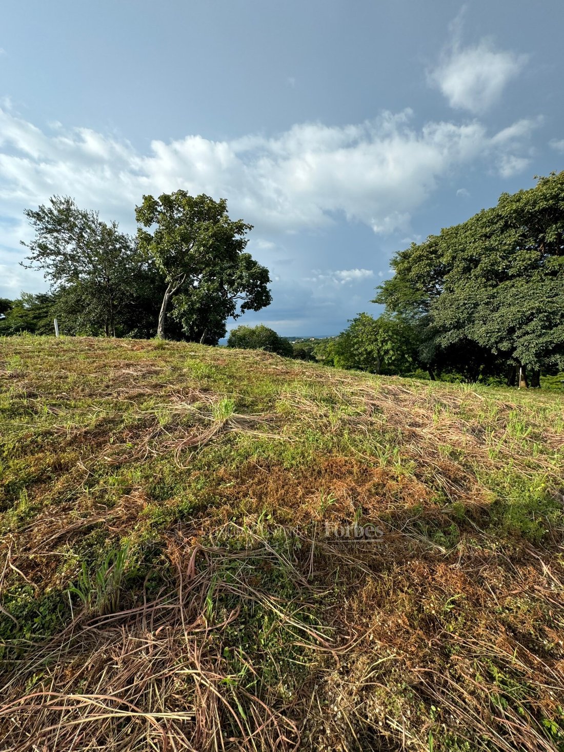 Land in Sardinal District, Guanacaste Province, Costa Rica 3 - 16648732