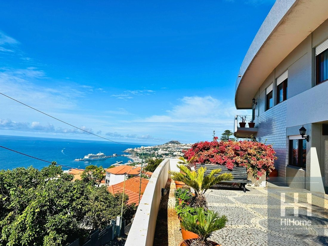 House in Santa Maria Maior, Madeira, Portugal 3 - 14346241