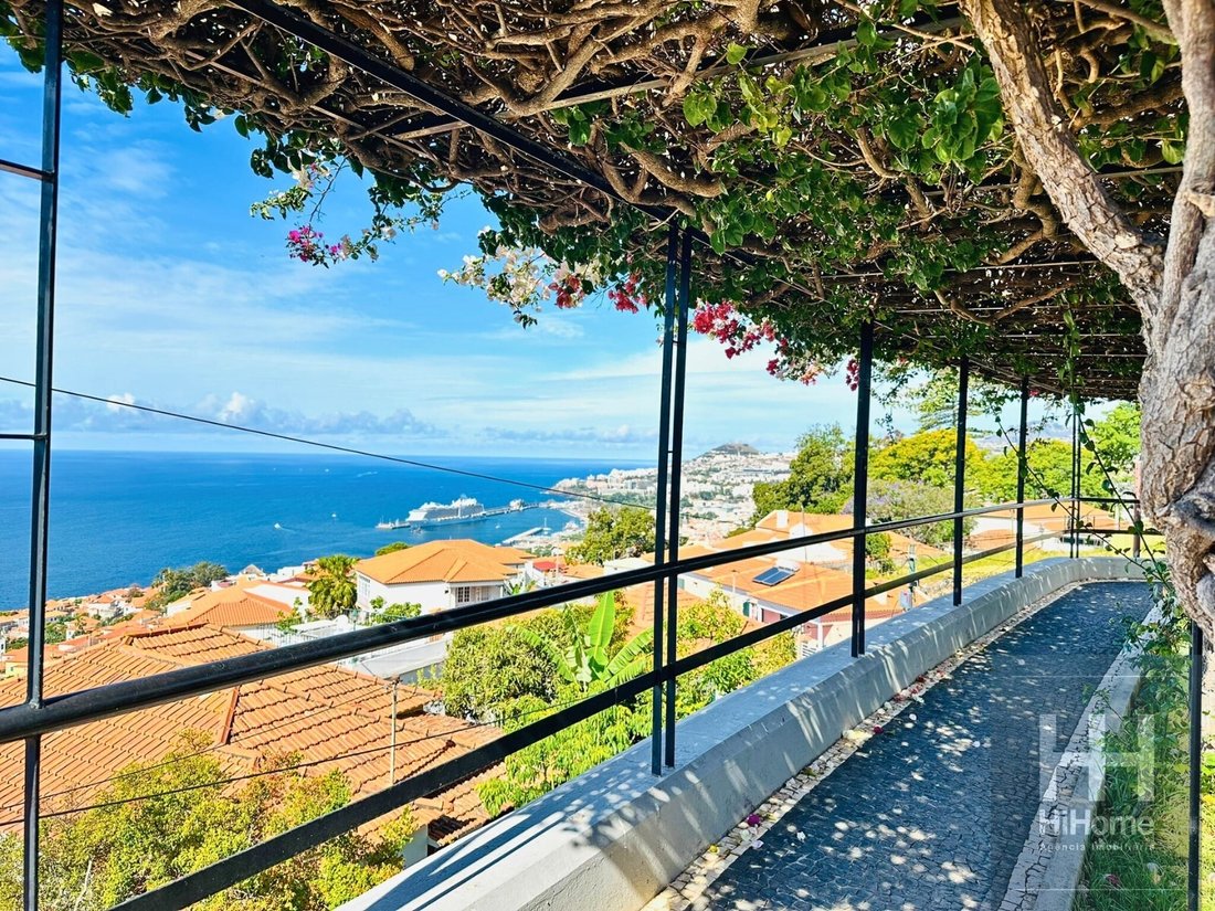 House in Santa Maria Maior, Madeira, Portugal 1 - 14346241