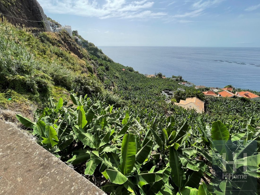 Land in Arco da Calheta, Madeira, Portugal 1 - 14065954