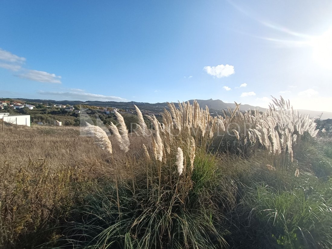 Land in Sintra, Lisbon, Portugal 4 - 16375211