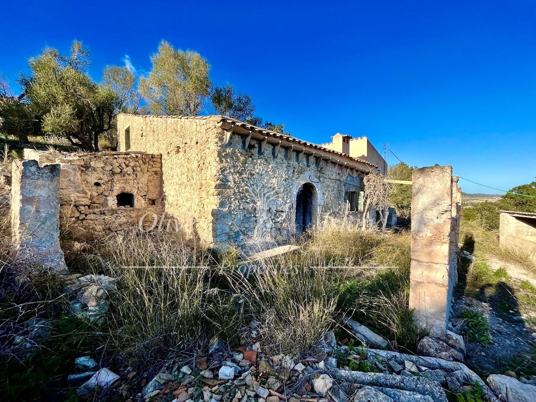 Land in Sineu, Balearic Islands, Spain 2 - 14947534