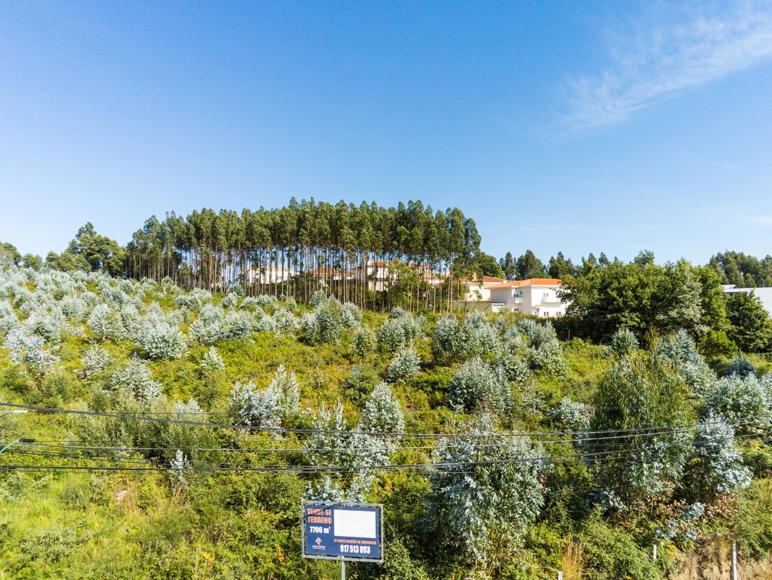 Land in Nogueira da Regedoura, Aveiro District, Portugal 3 - 12274654