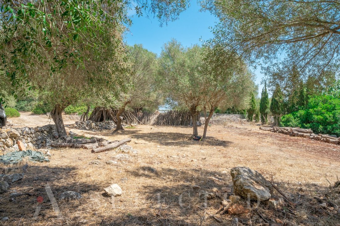 Land in Alcudia, Balearic Islands, Spain 5 - 12275891