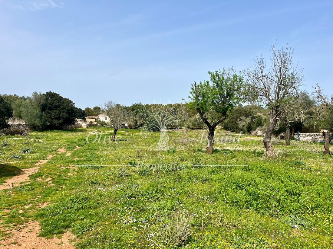 Land in Algaida, Balearic Islands, Spain 1 - 14947506