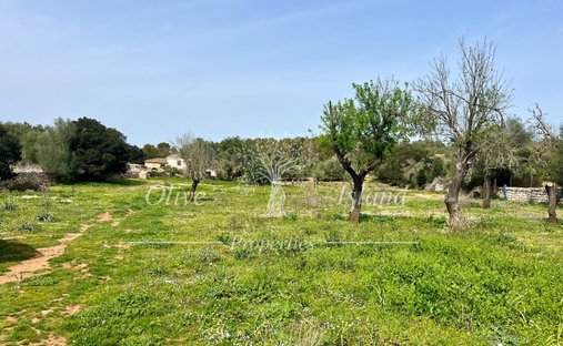 Land in Algaida, Balearic Islands, Spain 1