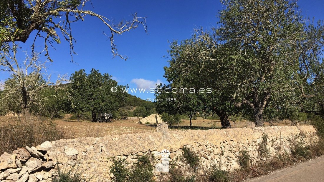 Terreno a S'Alqueria Blanca, Santanyí, Isole Baleari 4 - 12275757