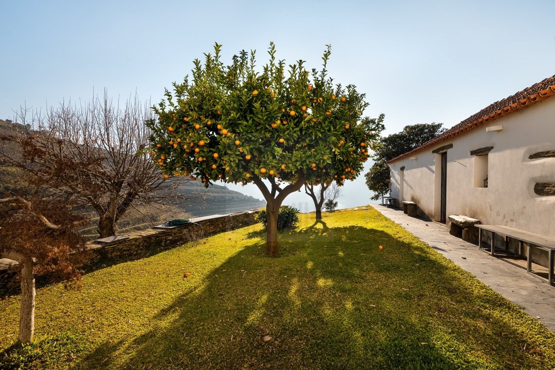 Finca in Ervedosa do Douro, Viseu District, Portugal 2 - 15092239