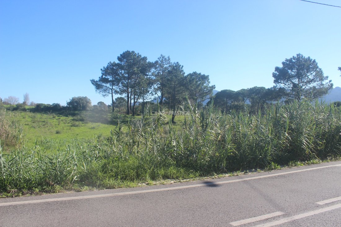 Land in Sintra, Lisbon, Portugal 1 - 13617776