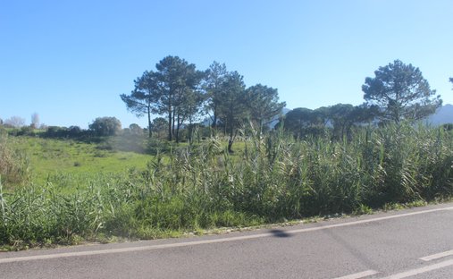 Land in Sintra, Lissabon, Portugal 1
