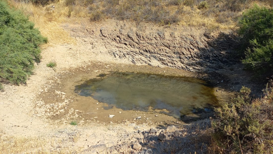 Finca in Ourique, Beja District, Portugal 4 - 16195874