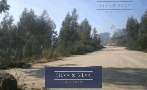 Land in Seroa, Porto District, Portugal 1