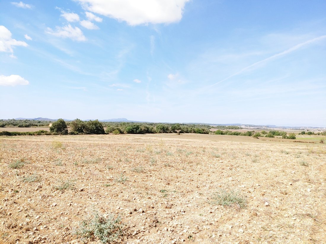 Land in Manacor, Balearic Islands, Spain 4 - 16392543