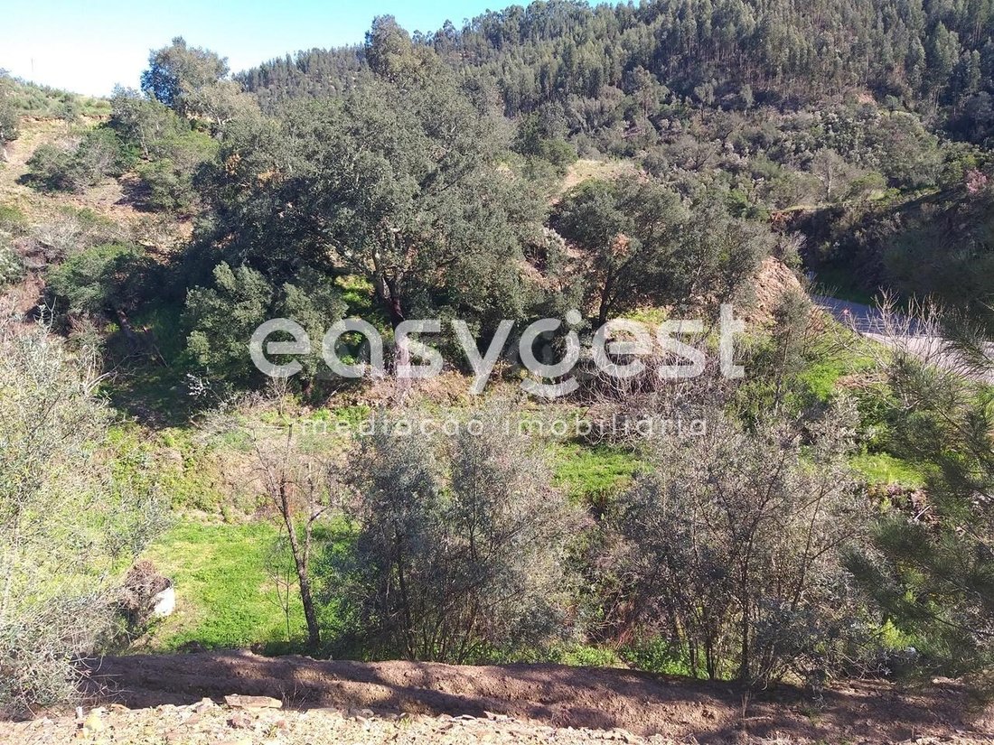 Finca in Monchique, Algarve, Portugal 5 - 15733996