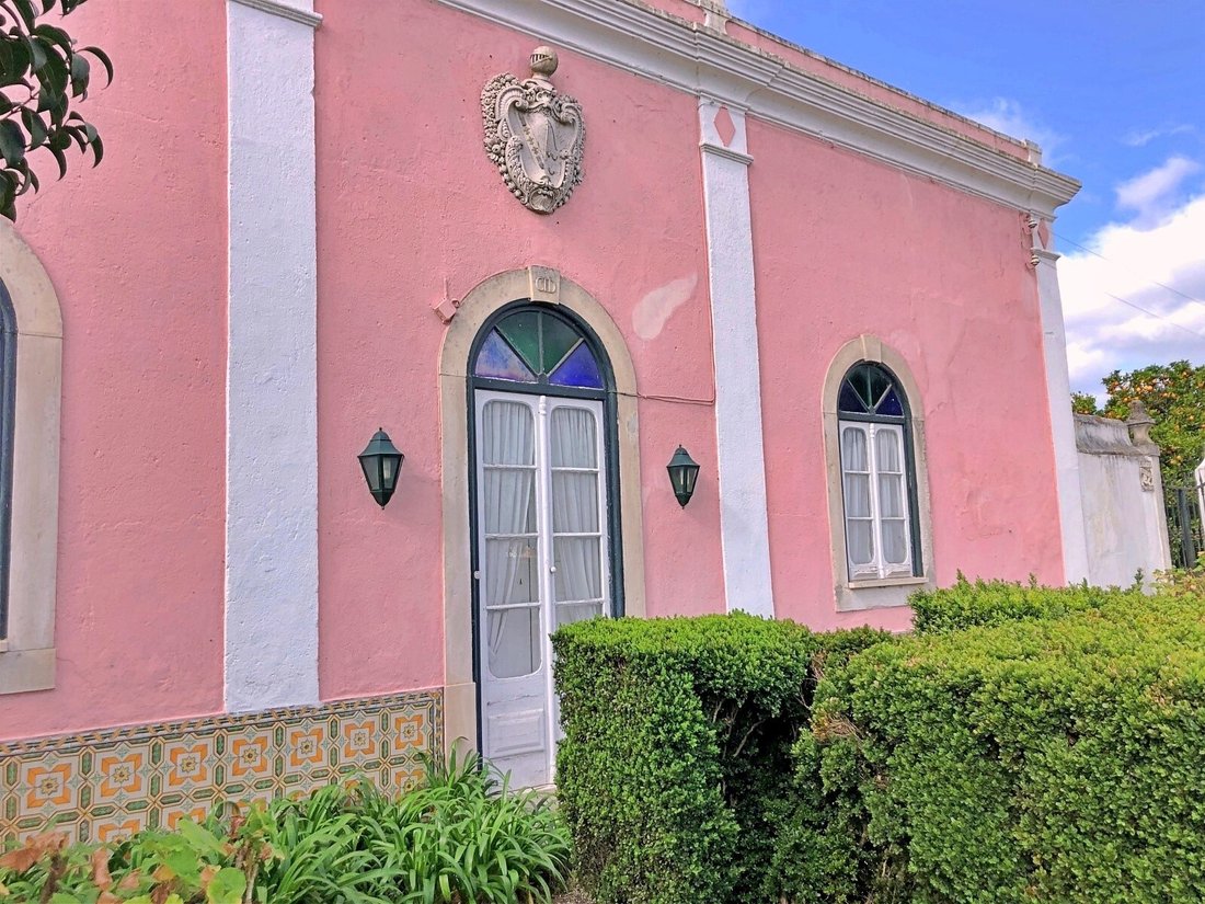 Finca in Riachos, Santarem District, Portugal 5 - 10984905