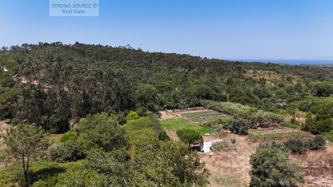 Finca in Sesimbra (Castelo), Setubal, Portugal 4 - 16006665