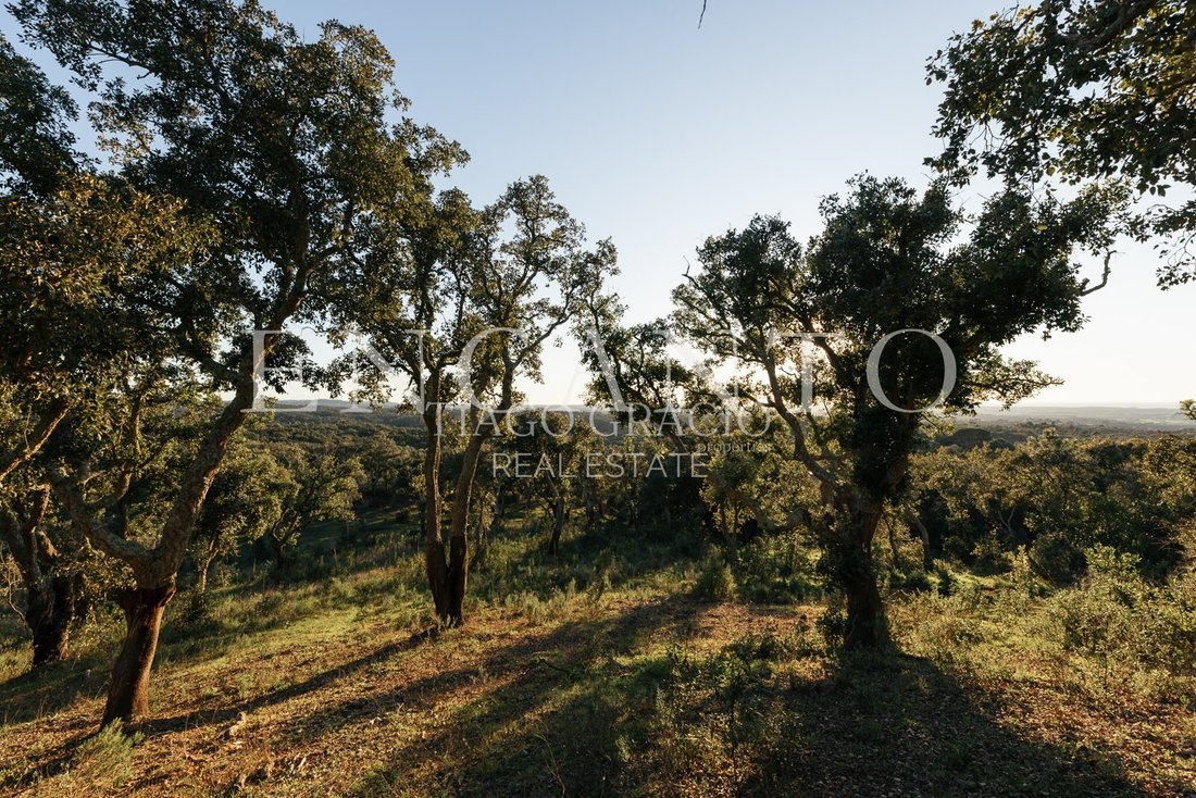 Land in Sao Francisco da Serra, Setubal, Portugal 1 - 15430943