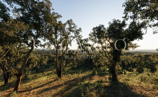 Land in Sao Francisco da Serra, Setubal, Portugal 1