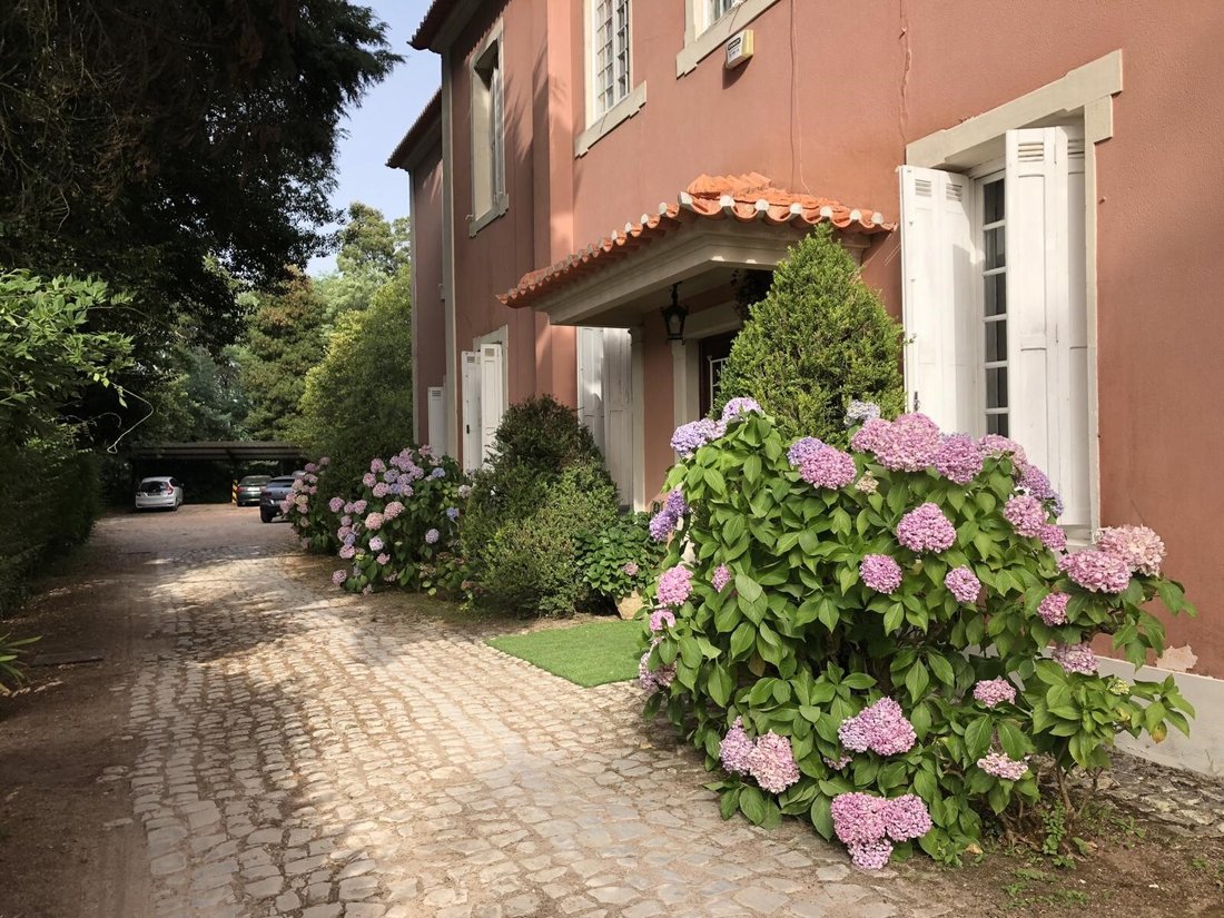Finca in Luso, Aveiro District, Portugal 4 - 11151334