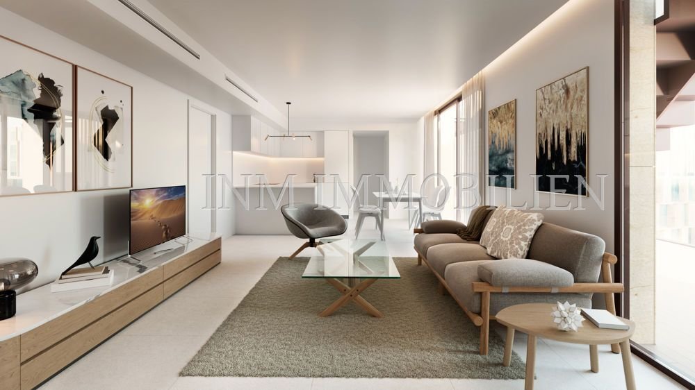 Apartment in Palma, Balearic Islands, Spain 3 - 16711149