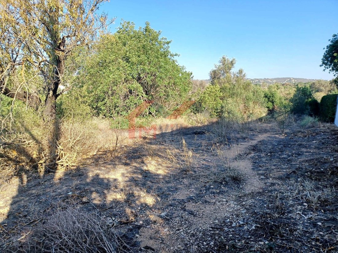 Land in Boliqueime, Algarve, Portugal 2 - 13364060
