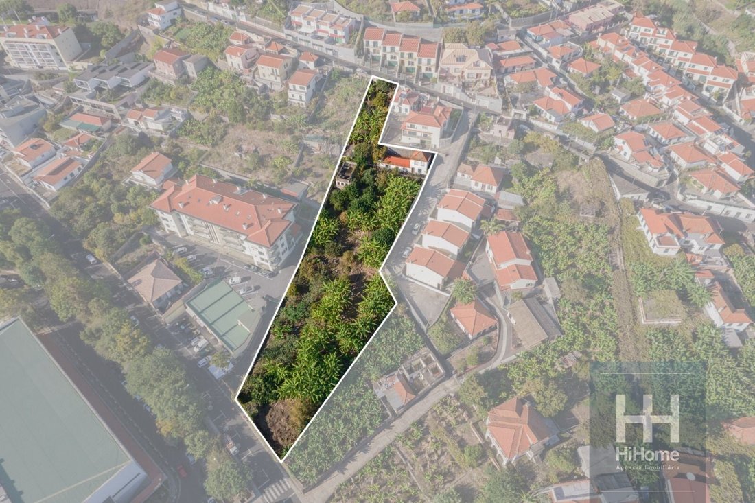 Land in Sao Roque, Madeira, Portugal 1 - 16374987