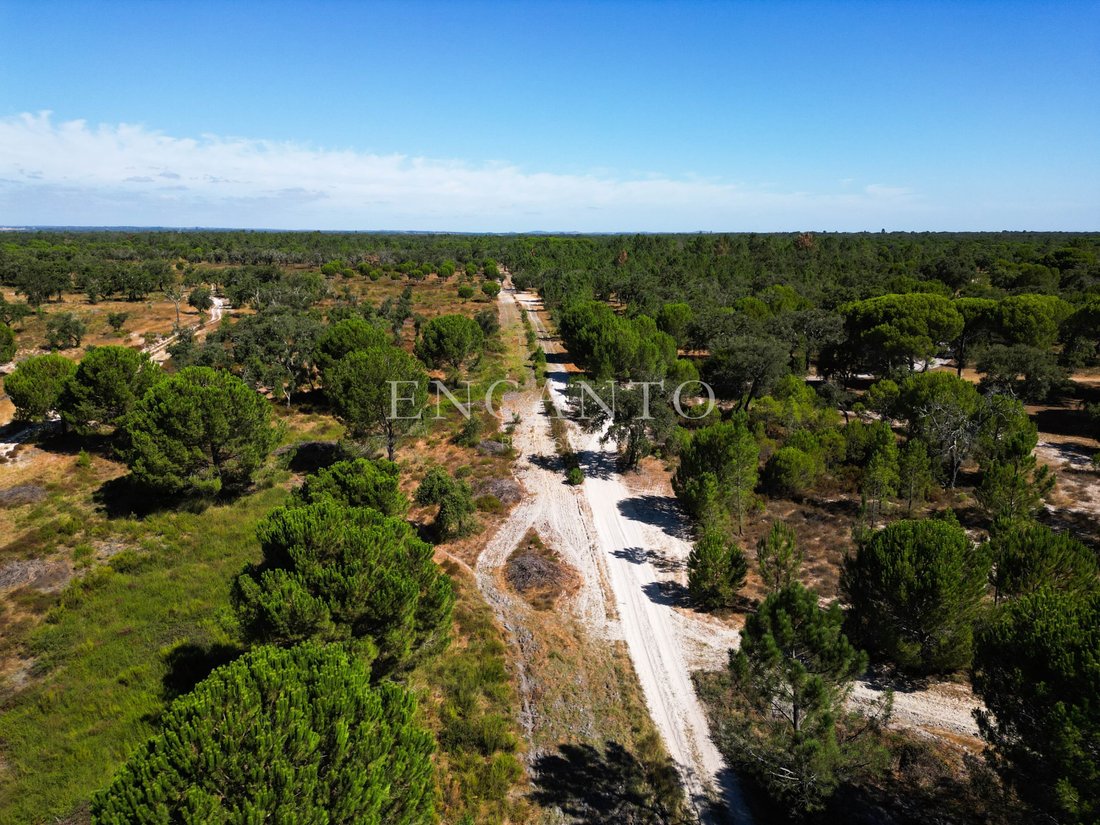 Estate in Setubal, Setubal, Portugal 4 - 16328829
