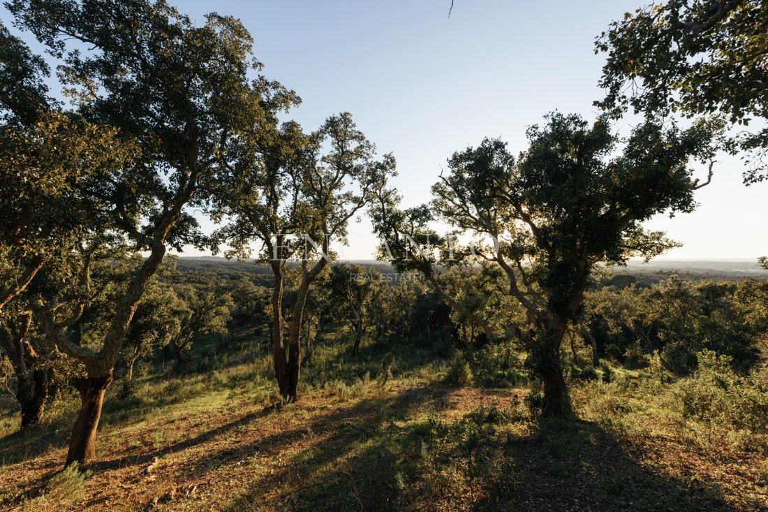 Land in Sao Francisco da Serra, Setubal, Portugal 3 - 15430943
