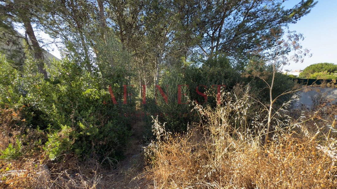 Land in Alcabideche, Lisbon, Portugal 1 - 15885424