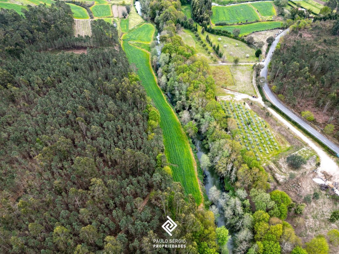 Land in Fragoso, Braga, Portugal 5 - 15497645