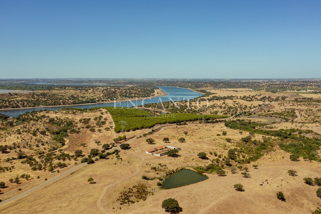Estate in Pedrogao, Beja District, Portugal 4 - 16086416
