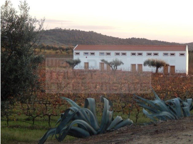 Finca in Vila de Frades, Beja District, Portugal 2 - 12464065