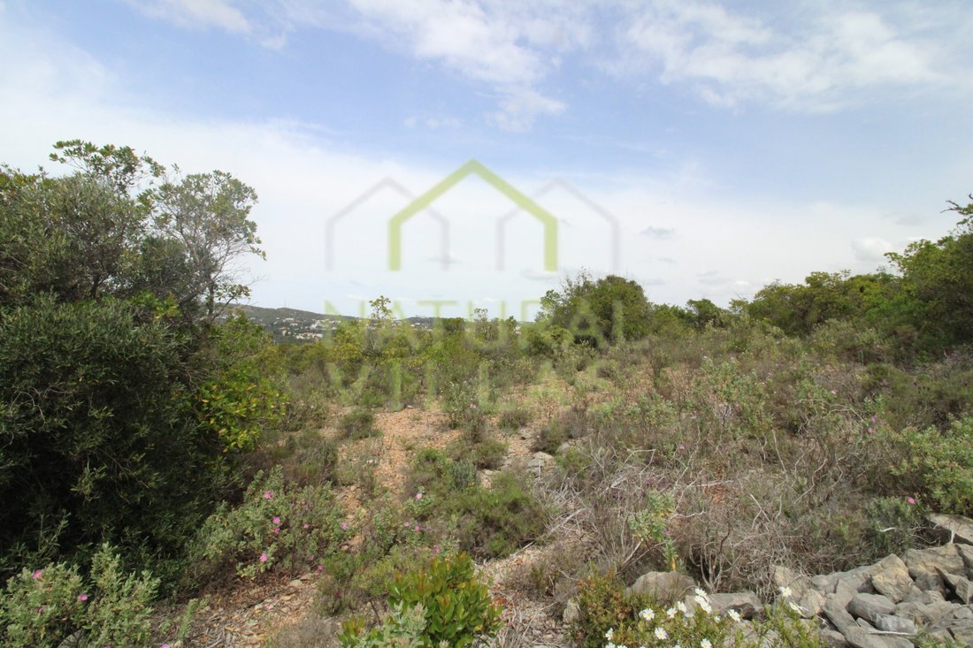 Land in Sao Bras de Alportel, Algarve, Portugal 5 - 16488291