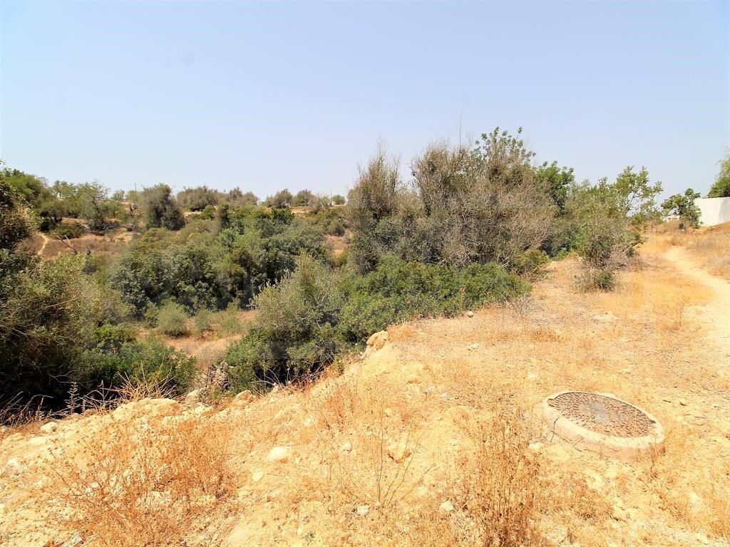 Country House in Alcantarilha, Algarve, Portugal 5 - 12146815
