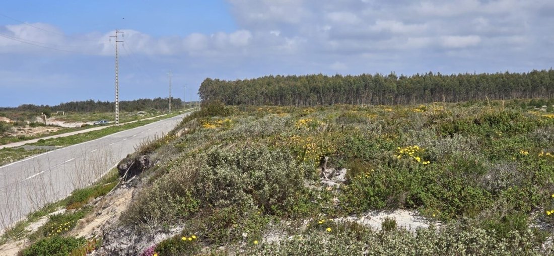 Land in Pataias, Leiria District, Portugal 2 - 15739843