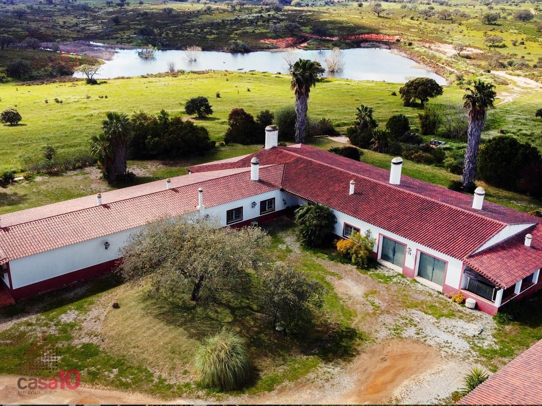 Estate in Vila Nova de Sao Bento e Vale de Vargo, Beja District, Portugal 2 - 14056617