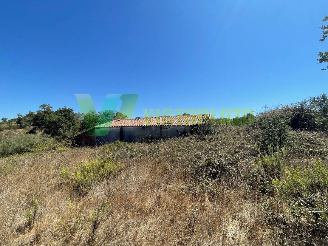 Land in S.Teotónio, Beja District, Portugal 1 - 12274769