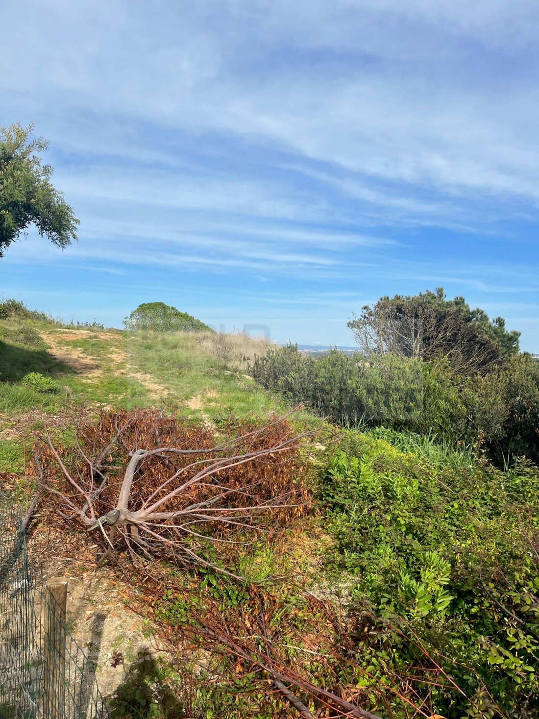 Land in Foz do Arelho, Leiria District, Portugal 4 - 12464106