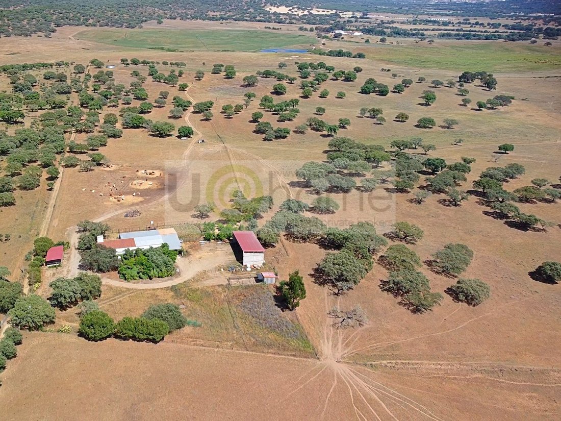 Land in Santiago do Escoural, Évora District, Portugal 3 - 12878192