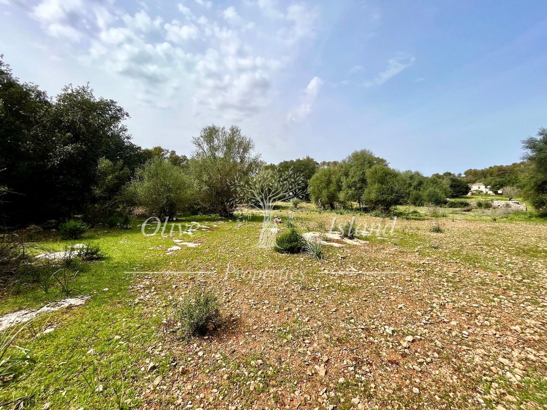 Land in Algaida, Balearic Islands, Spain 5 - 14947506