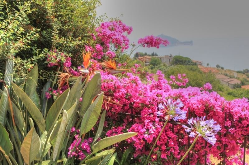 Villa in Central Hill, Alassio, Liguria 3 - 16717019
