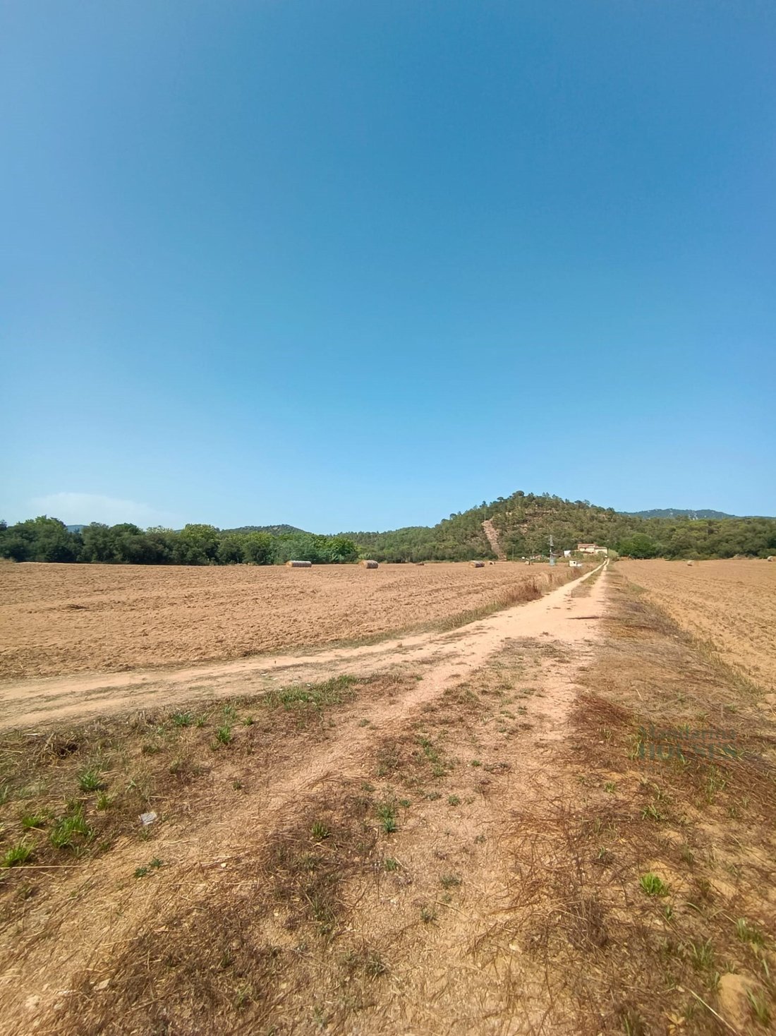 Finca in Tossa de Mar, Catalonia, Spain 4 - 11694085
