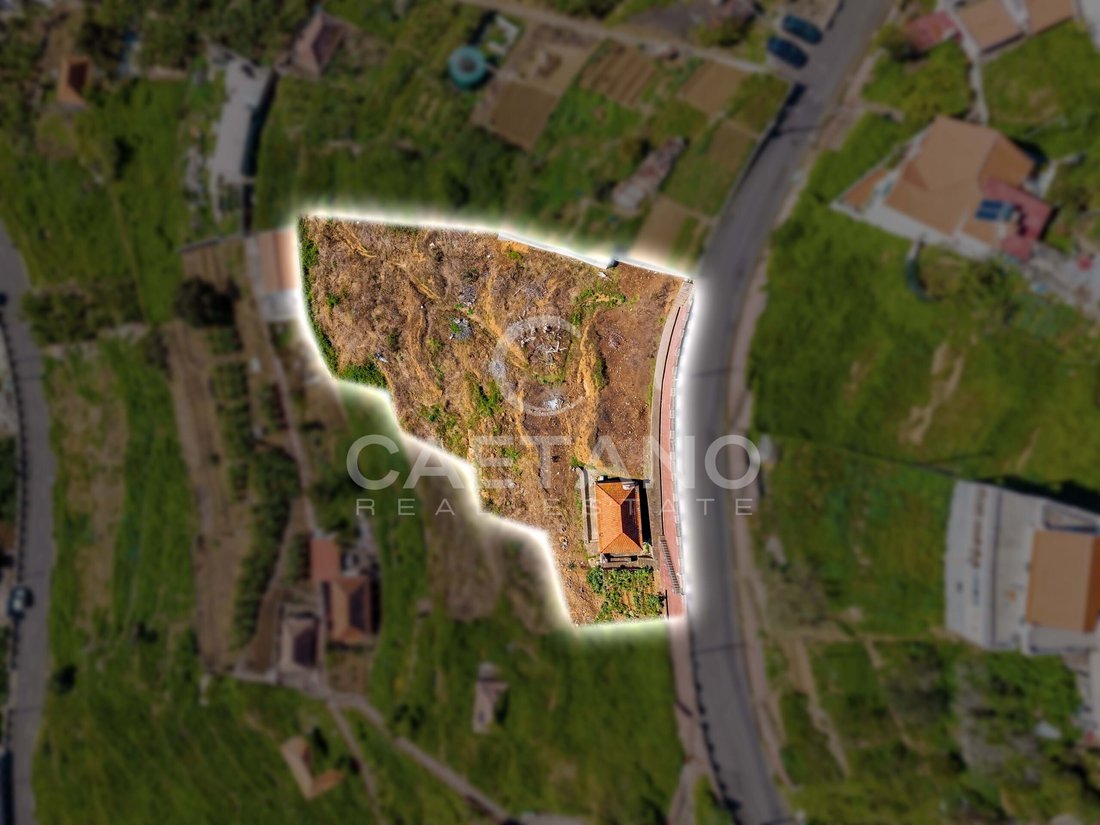 Villa in Ribeira Brava, Madeira, Portugal 3 - 16659141