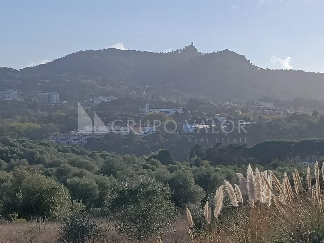 Land in Sintra, Lisbon, Portugal 1 - 16375211