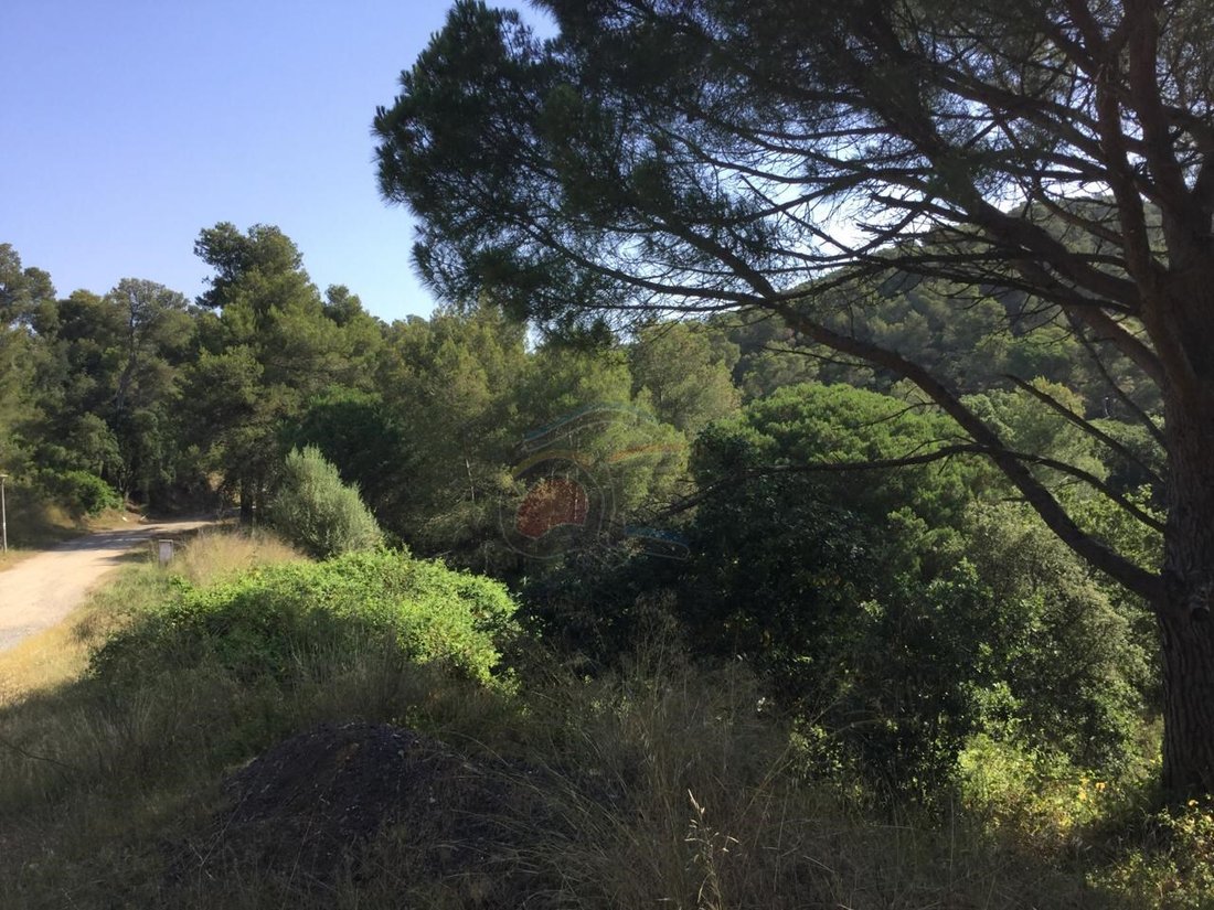 Land in Palamos, Catalonia, Spain 3 - 12274753