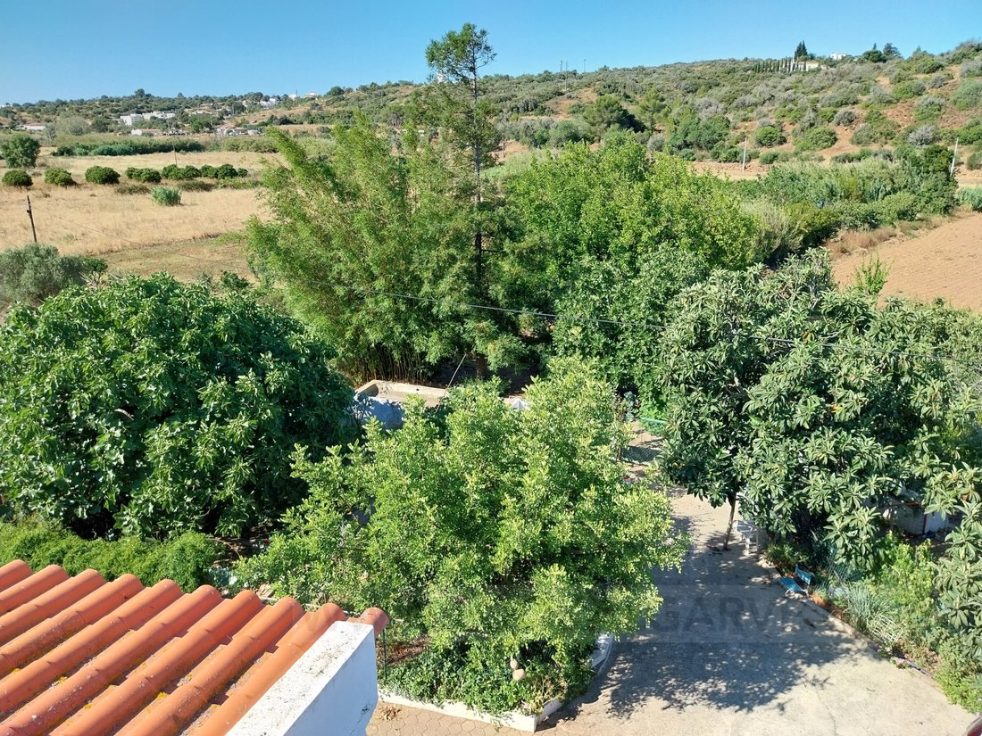 Finca in Mexilhoeira Grande, Algarve, Portugal 5 - 14777748