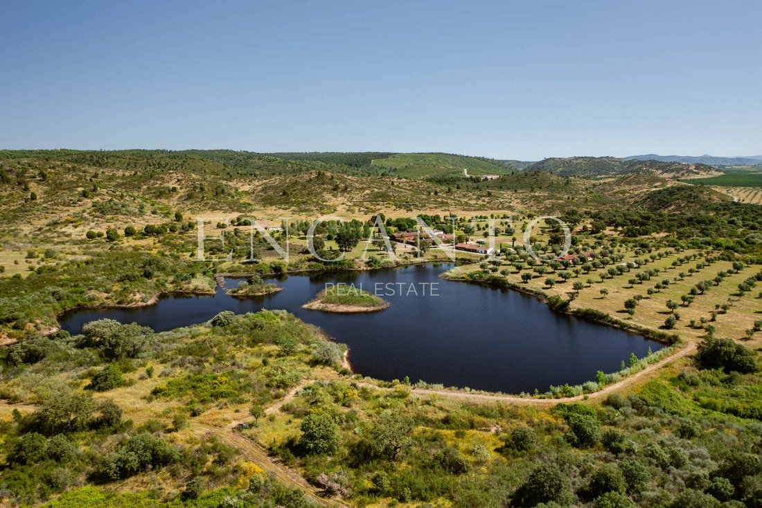 Finca in Escalos de Baixo e Mata, Castelo Branco District, Portugal 3 - 16699356