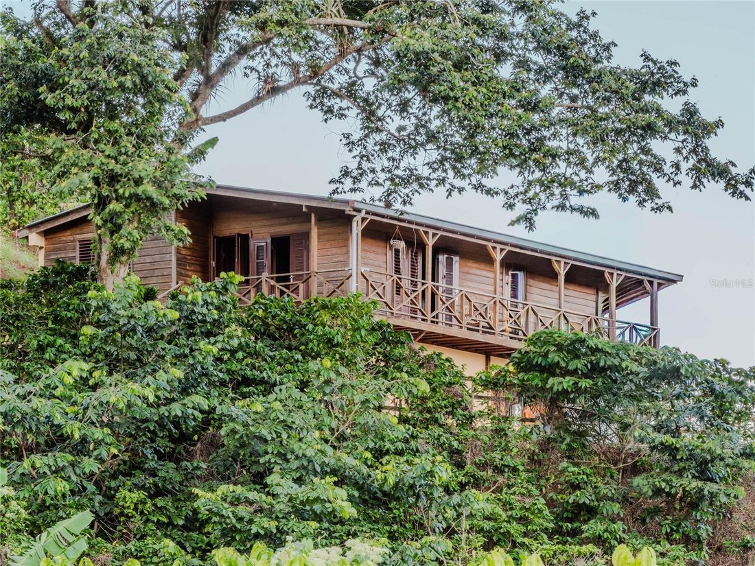 Farm Ranch in ADJUNTAS, PR, United States 1 - 16718779