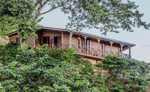 Rancho en ADJUNTAS, PR, United States 1