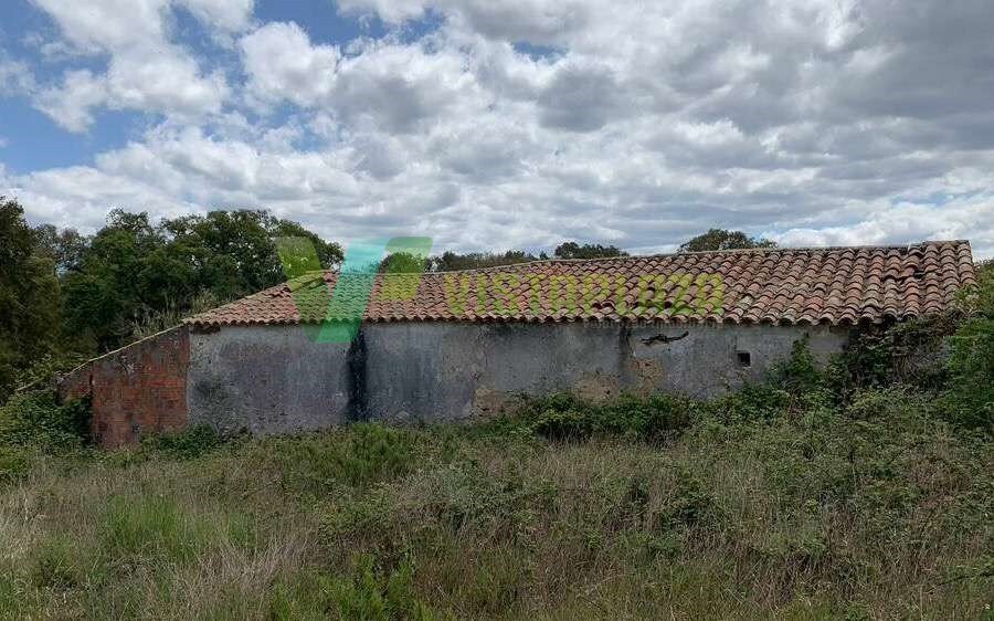 Land in S.Teotónio, Beja District, Portugal 4 - 12274769